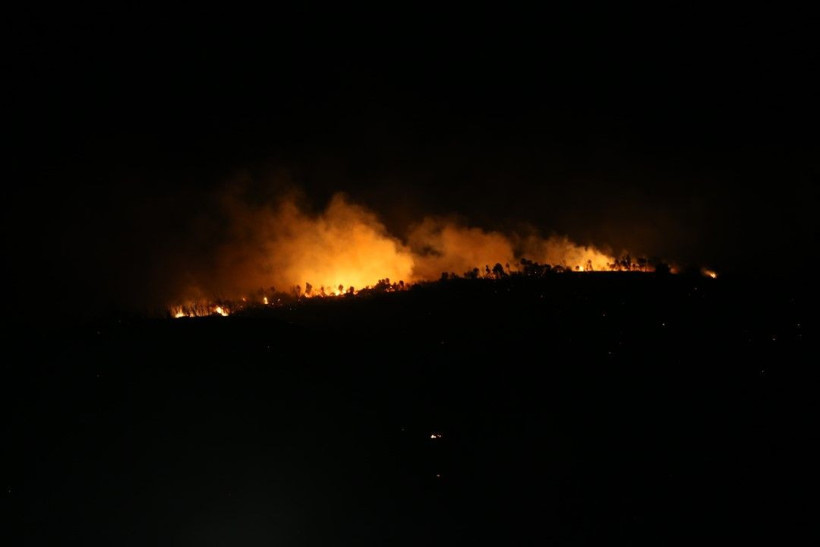 Bursa'daki orman yangını saatler sonra kontrol altına alındı - Resim: 18