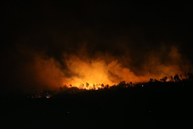 Bursa'daki orman yangını saatler sonra kontrol altına alındı - Resim: 19