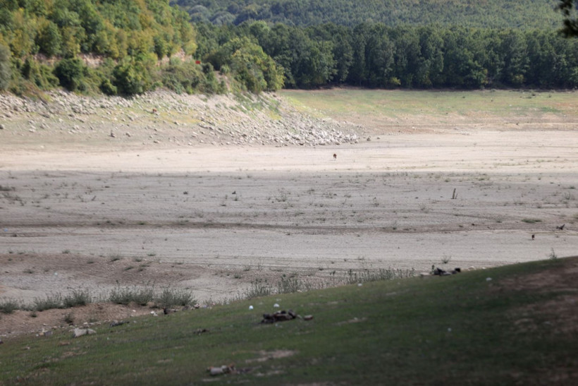 İstanbul'un hayat damarlarından biri kurudu: Altı ayda buharlaştı - Resim: 3