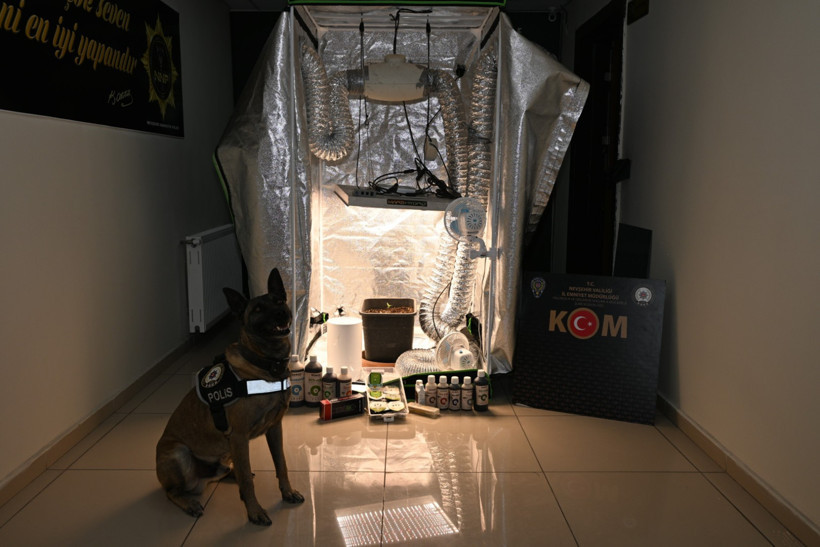 Devlet hastanesinde test sonuçlarını parayla değiştirmişler - Resim : 1