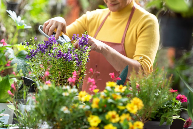 Sonbahar depresyonuna karşı 7 öneri - Resim: 9