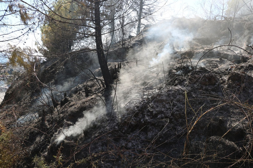 Alevler villalara dayandı - Resim: 11