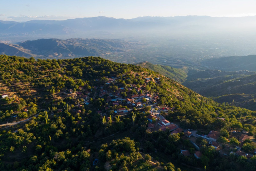 Sırıklarla kestane hasadı - Resim: 8