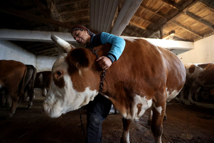 Gelin geldi, köyde kendi işinin patronu oldu - Resim: 8