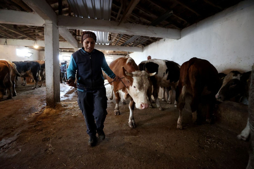 Gelin geldi, köyde kendi işinin patronu oldu - Resim: 7