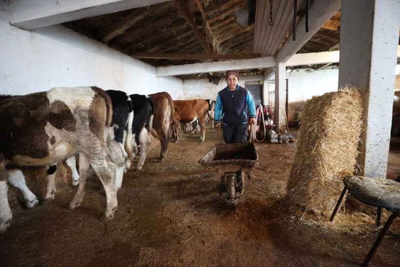 Gelin geldi, köyde kendi işinin patronu oldu - Resim: 5