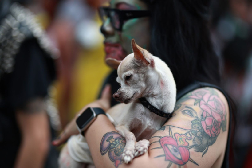 Meksika'da 'zombiler' yürüyüşü - Resim: 9