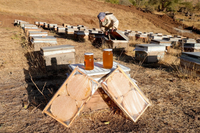 Köye döndü, işinin patronu oldu - Resim: 1