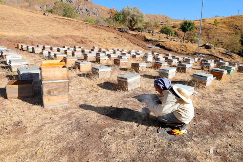 Köye döndü, işinin patronu oldu - Resim: 4