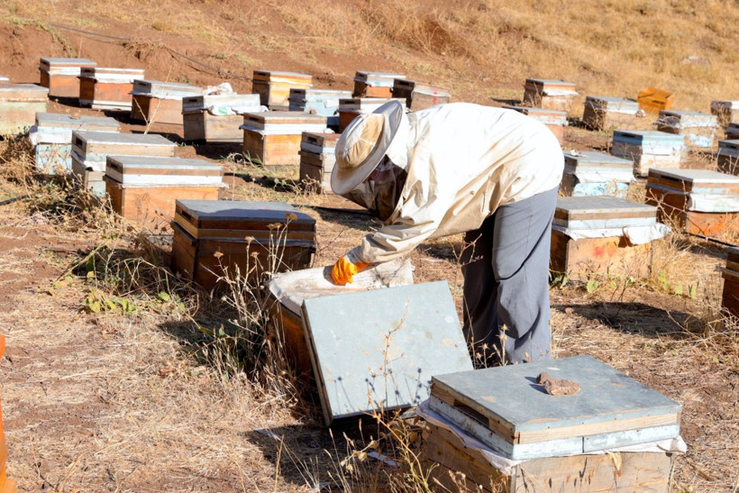 Köye döndü, işinin patronu oldu - Resim: 5