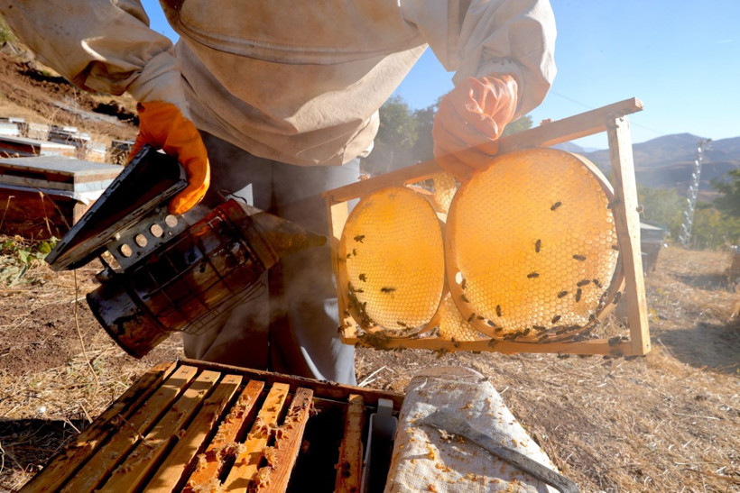 Köye döndü, işinin patronu oldu - Resim: 6