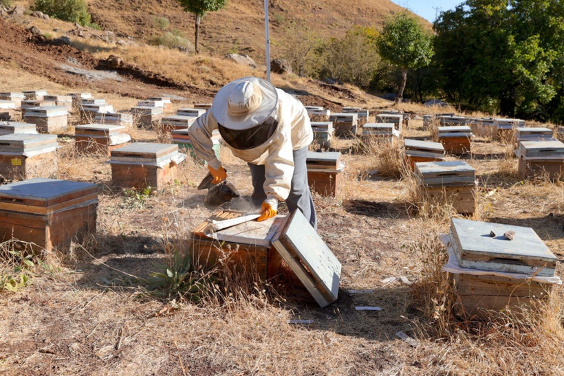 Köye döndü, işinin patronu oldu - Resim: 7