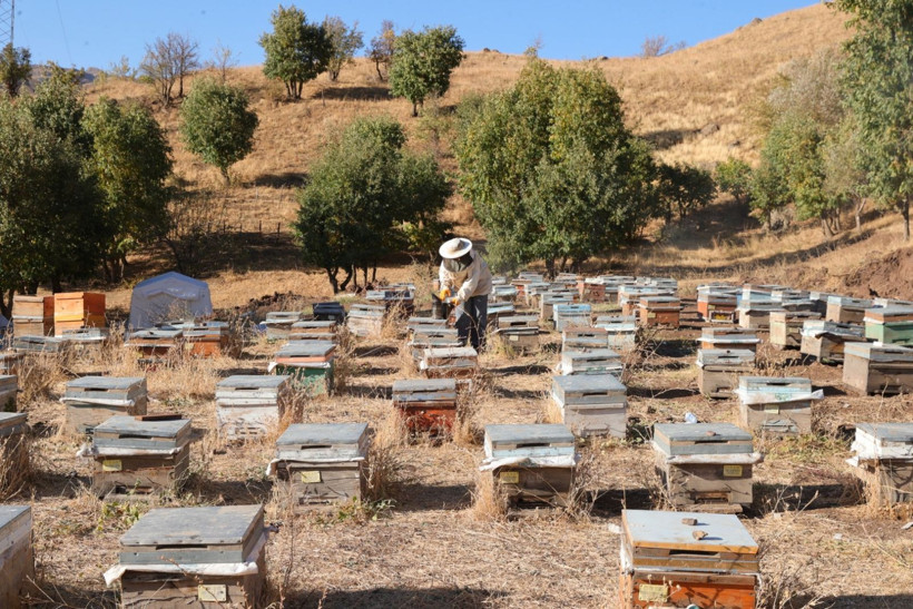 Köye döndü, işinin patronu oldu - Resim: 9