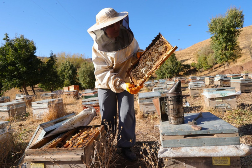 Köye döndü, işinin patronu oldu - Resim: 10