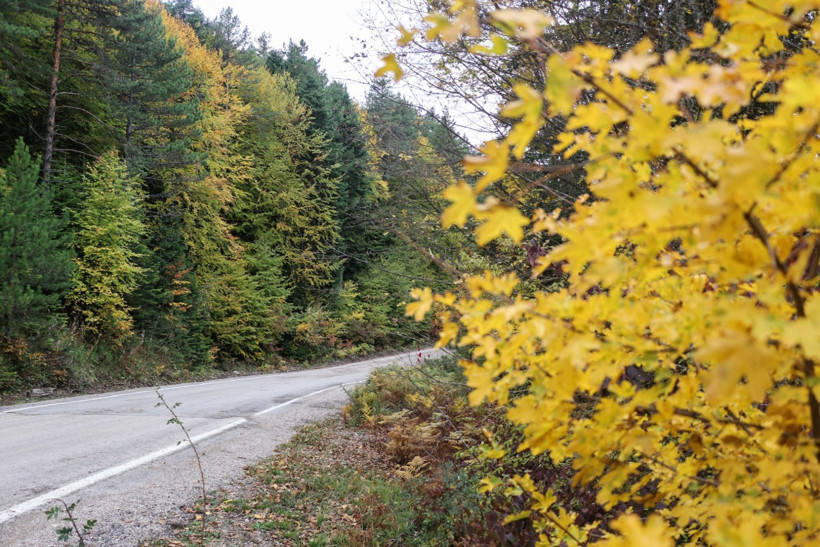 Karabük'te renk cümbüşü - Resim : 1