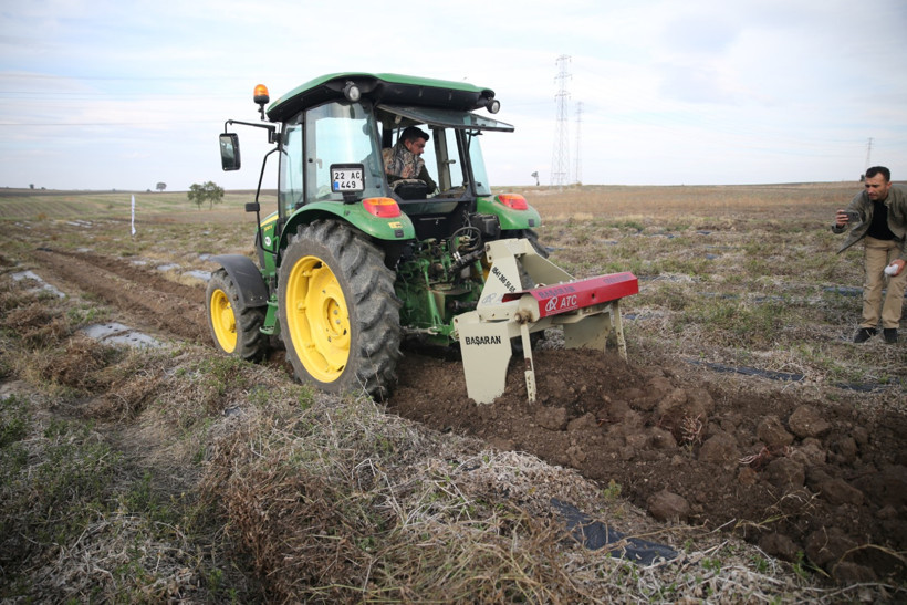Edirne kırmızısının hasadı başladı: Efsane rengin formülü yeniden canlandı - Resim : 1