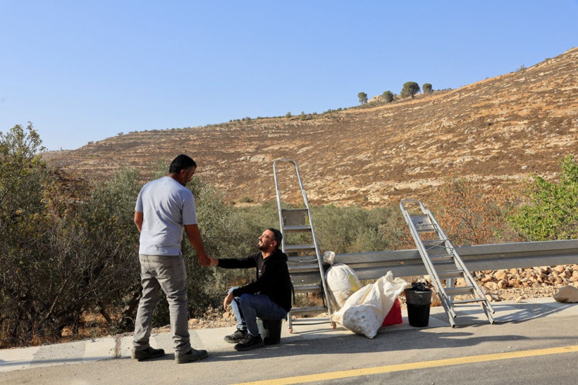 Filistinlilere yaşam hakkı yok: Zeytin hasadını ordu engelliyor - Resim: 1