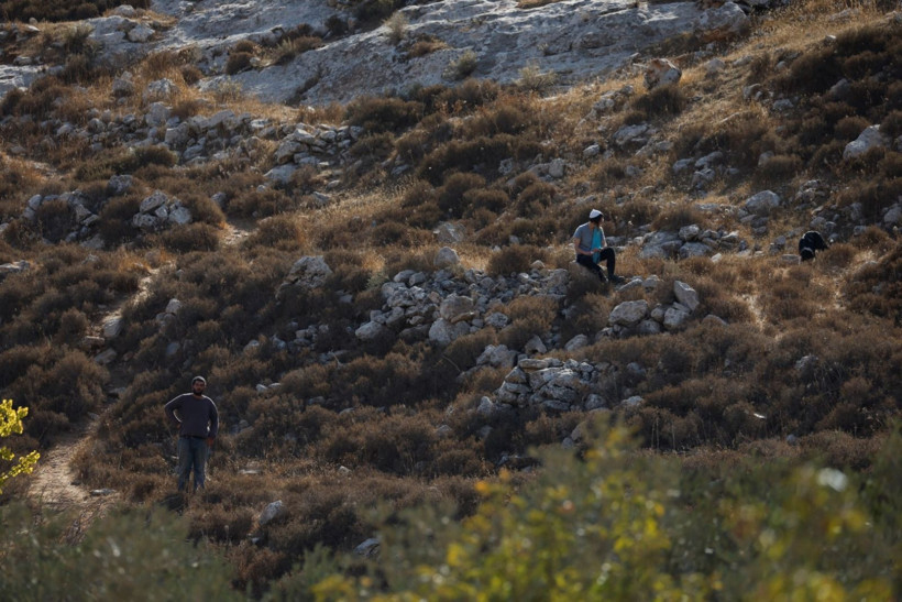 Filistinlilere yaşam hakkı yok: Zeytin hasadını ordu engelliyor - Resim: 2