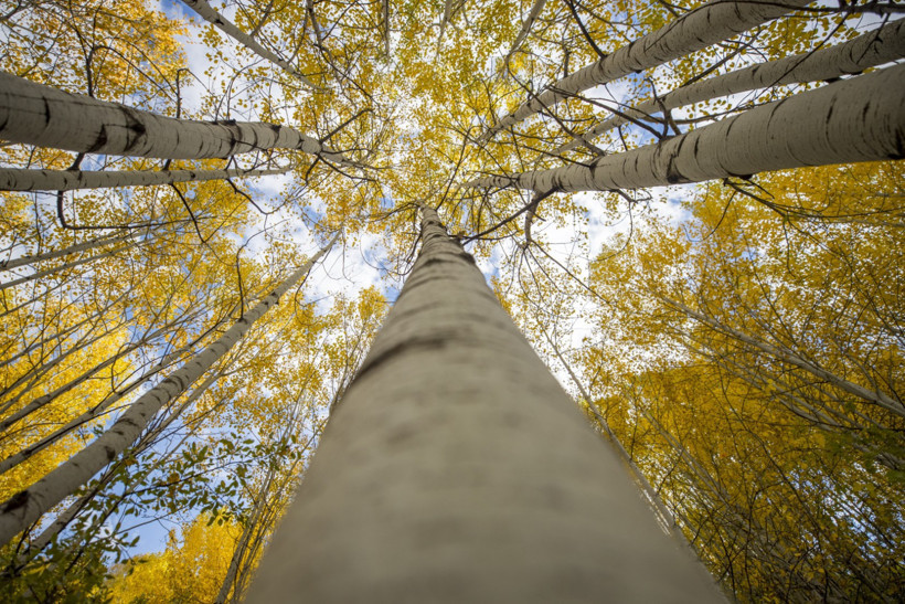 İsviçre değil Tunceli - Resim : 1