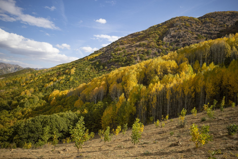 İsviçre değil Tunceli - Resim : 2