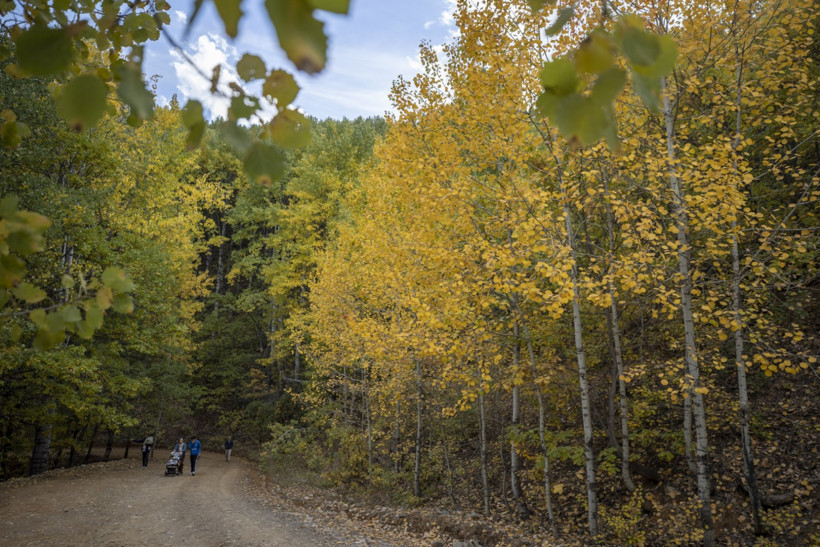 İsviçre değil Tunceli - Resim : 3