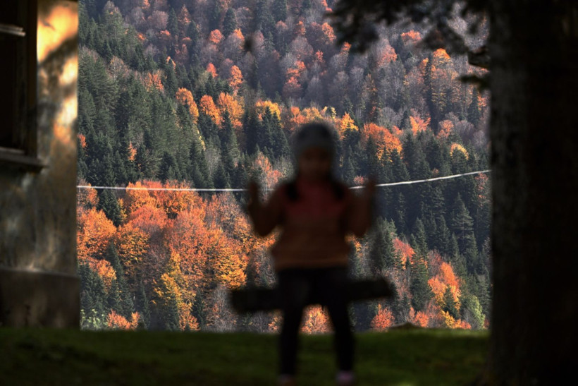 Tuval gibi: Düzce'den büyüleyen kareler - Resim: 1