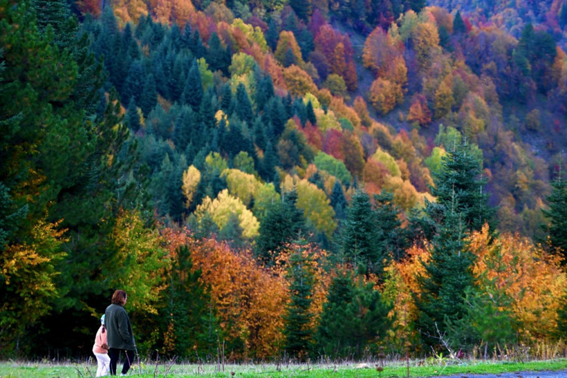 Tuval gibi: Düzce'den büyüleyen kareler - Resim: 3