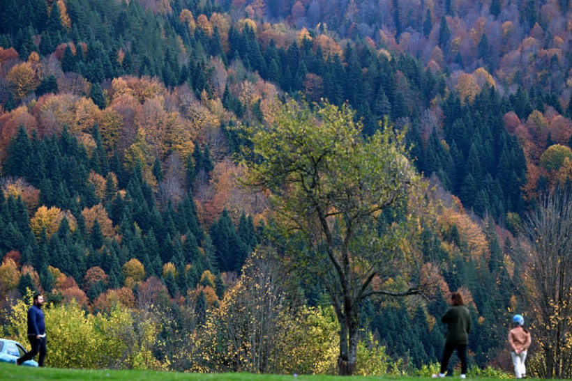 Tuval gibi: Düzce'den büyüleyen kareler - Resim: 4