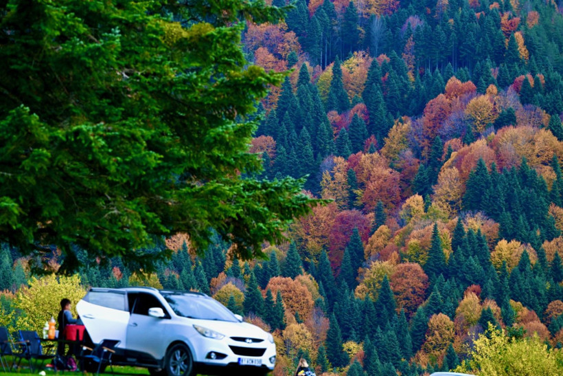Tuval gibi: Düzce'den büyüleyen kareler - Resim: 5