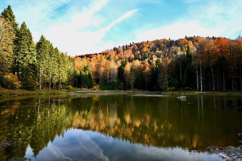 Tuval gibi: Düzce'den büyüleyen kareler - Resim: 9