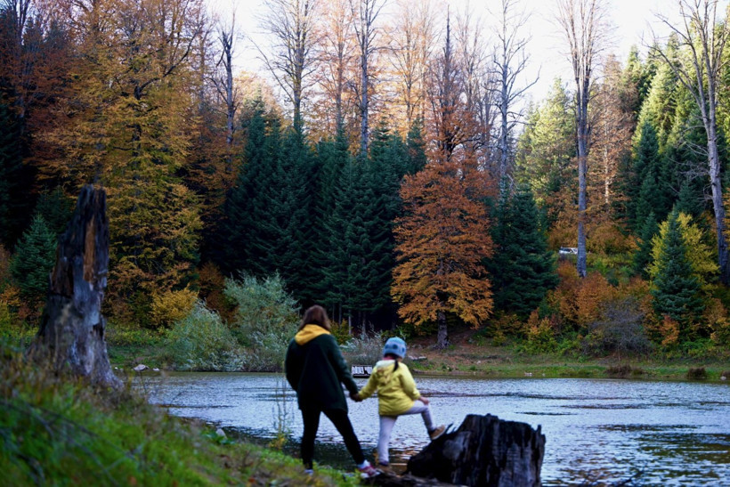 Tuval gibi: Düzce'den büyüleyen kareler - Resim: 10