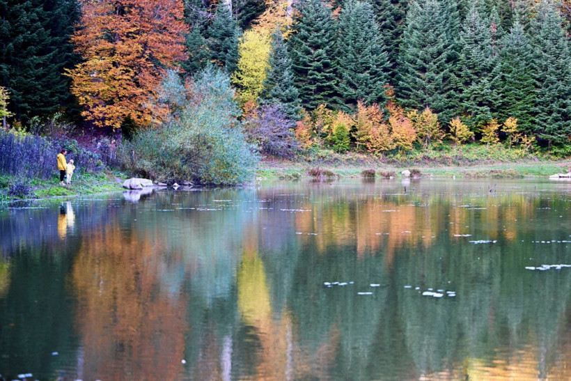 Tuval gibi: Düzce'den büyüleyen kareler - Resim: 12