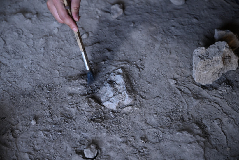 Kahramanmaraş'ta 13 bin yıl öncesine ait izler ortaya çıktı - Resim : 2