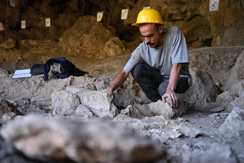 Kahramanmaraş'ta 13 bin yıl öncesine ait izler ortaya çıktı - Resim : 1