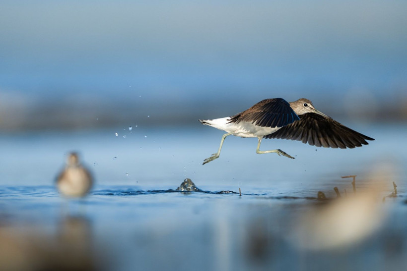 Sonbaharın habercileri Kocaçay’da - Resim: 3