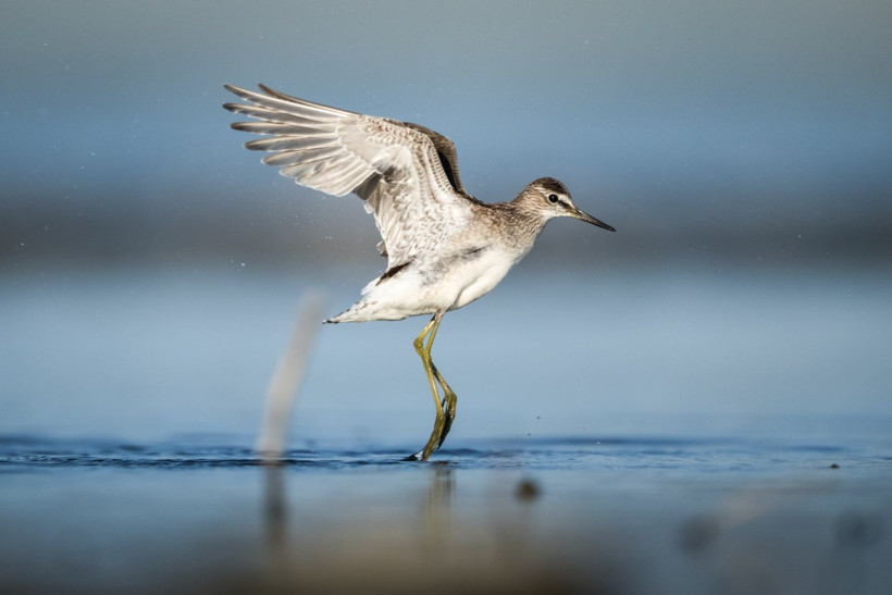 Sonbaharın habercileri Kocaçay’da - Resim: 5