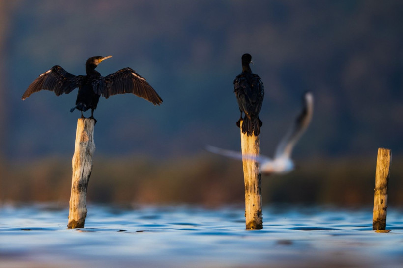 Sonbaharın habercileri Kocaçay’da - Resim: 8