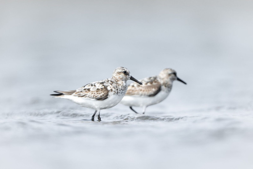 Sonbaharın habercileri Kocaçay’da - Resim: 10