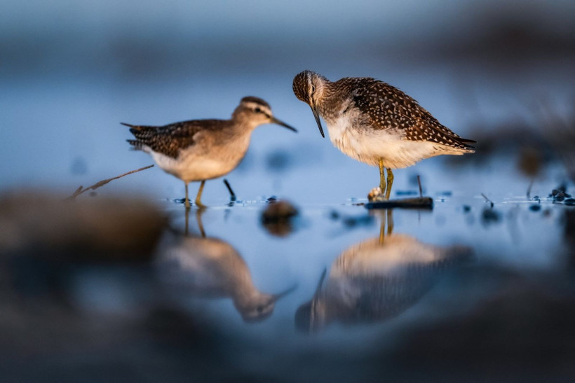 Sonbaharın habercileri Kocaçay’da - Resim: 15