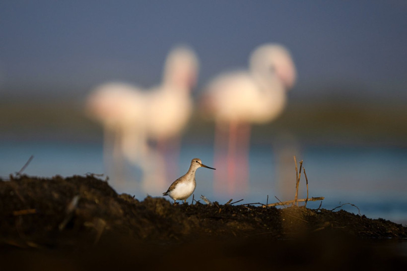 Sonbaharın habercileri Kocaçay’da - Resim: 22