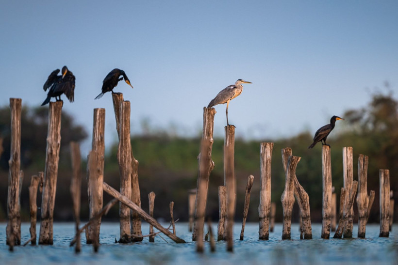 Sonbaharın habercileri Kocaçay’da - Resim: 23