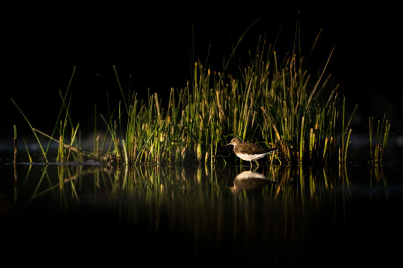 Sonbaharın habercileri Kocaçay’da - Resim: 26