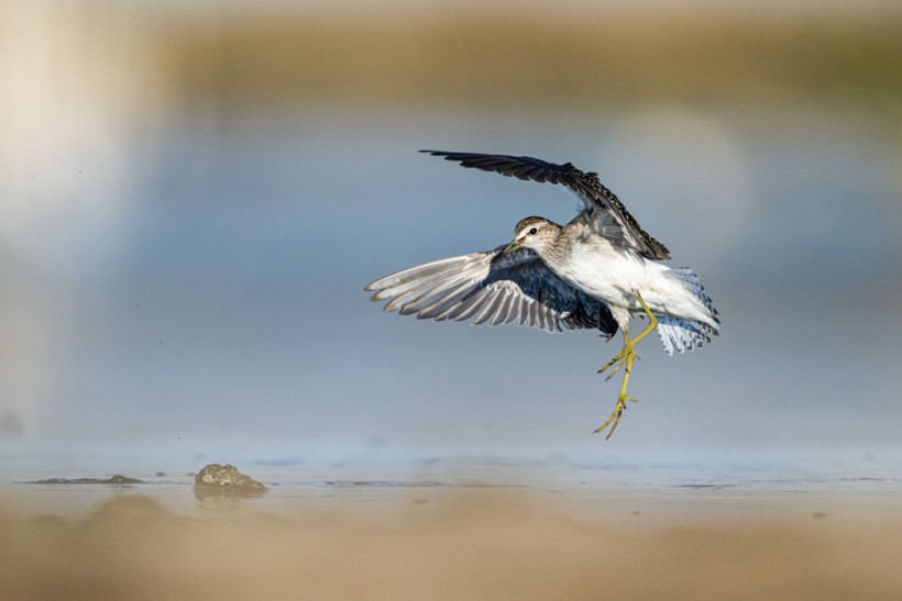 Sonbaharın habercileri Kocaçay’da - Resim: 33