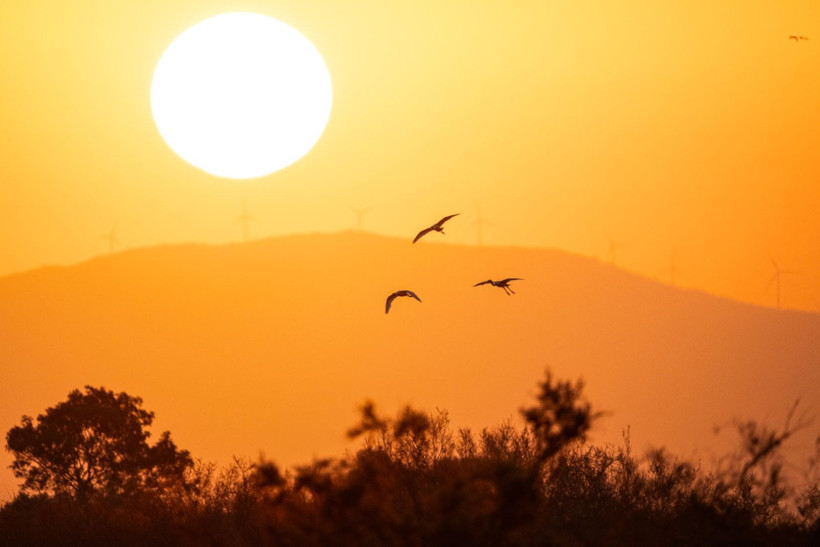 Sonbaharın habercileri Kocaçay’da - Resim: 36