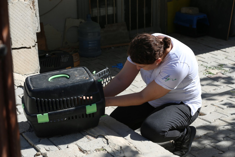 Depremzede kadın, sahipsiz kedilere kucak açtı - Resim : 2