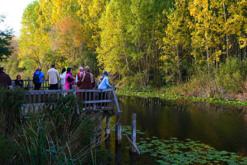 Tabiat harikaları arasında sonbahar yürüyüşü - Resim : 2