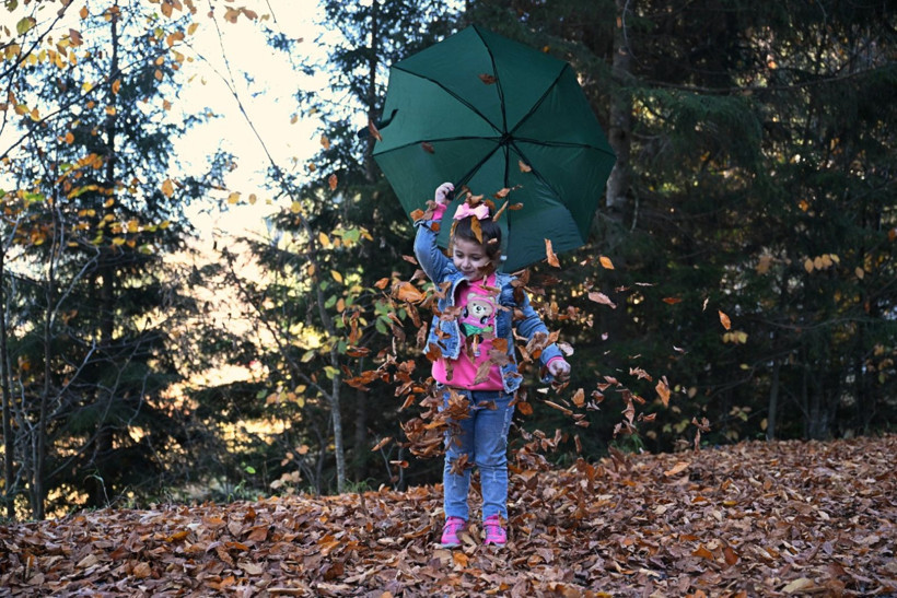 Bu ağaçlar fotoğraf tutkunlarını çağırıyor - Resim: 10