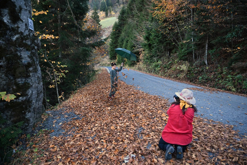 Bu ağaçlar fotoğraf tutkunlarını çağırıyor - Resim: 11