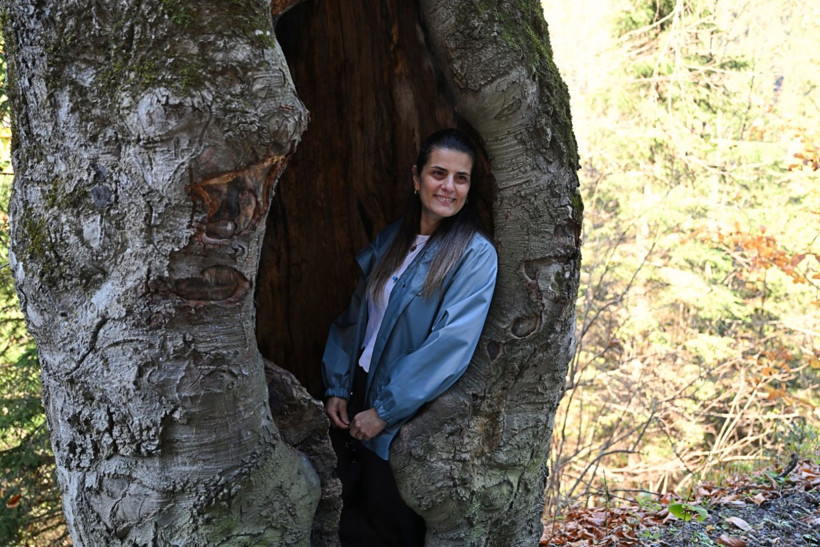 Bu ağaçlar fotoğraf tutkunlarını çağırıyor - Resim: 14