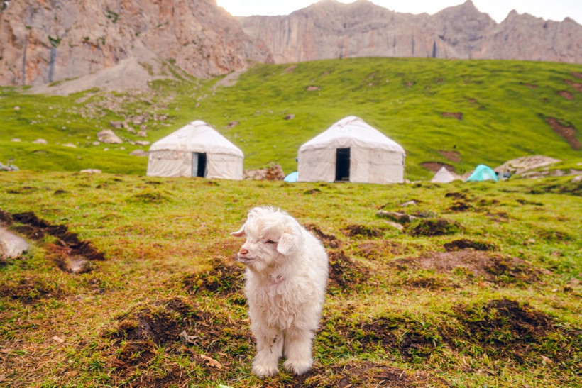 Uygur Türklerinin memleketinde turizm patlaması... 'Baskıların üzerini örten imaj kampanyası' - Resim: 8